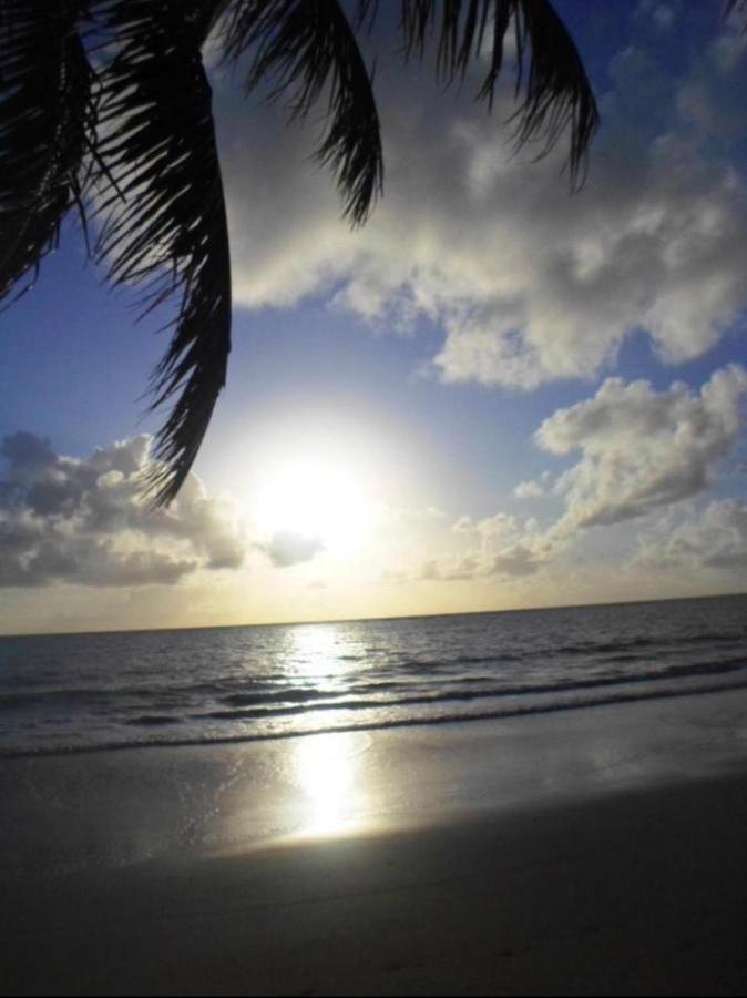 Carneiros Beach Resort - Flat Tamandaré 外观 照片